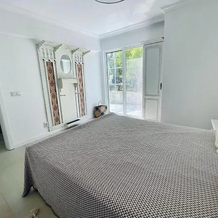 Isidora Pensión Potos