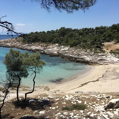 Isidora Pensión Potos