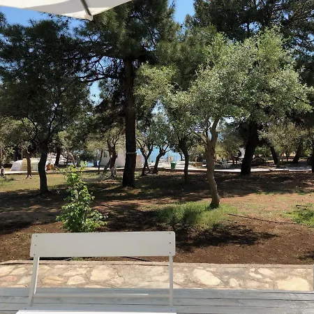 Pensión Isidora Potos