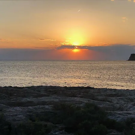 Isidora Pensión Potos