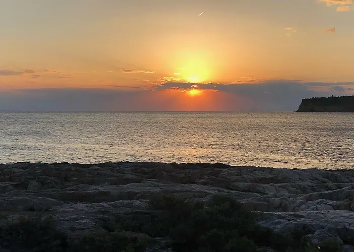 Isidora ゲストハウス ポトス