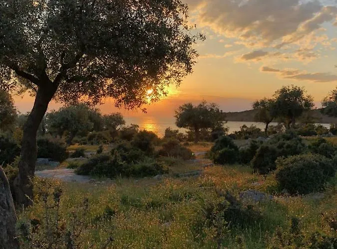 Isidora ゲストハウス 3*